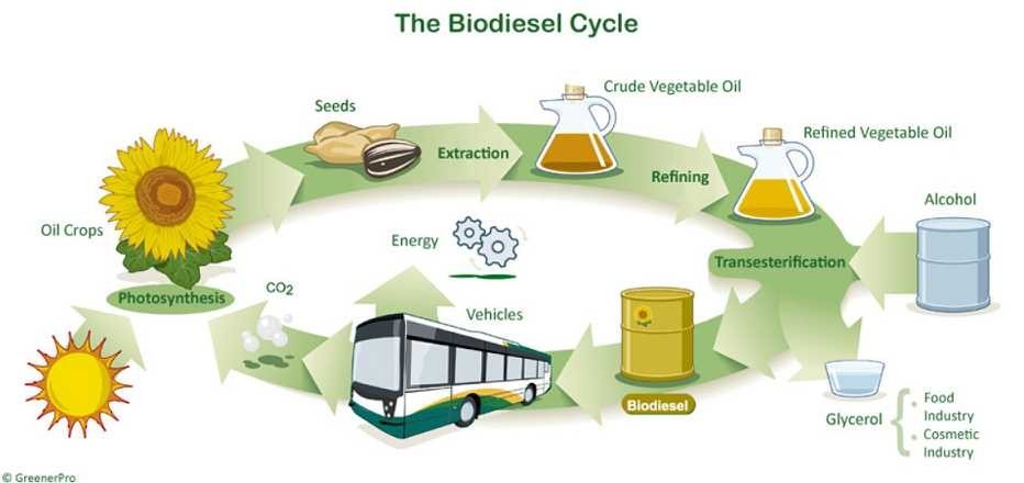 Biodiesel