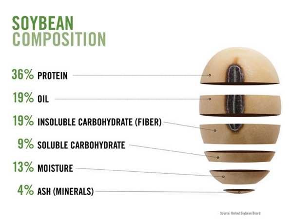 The Soybean Composition