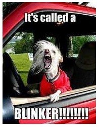 Using the Blinker