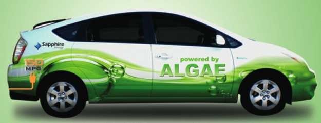 Powered by Algae