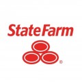 State Farm Auto Insurance 