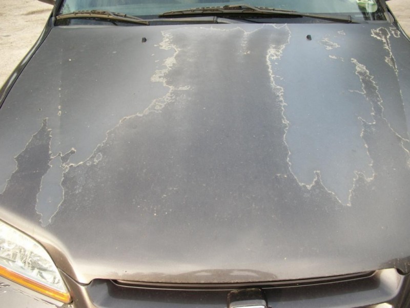 Article - How much does it cost to fix my car's peeling clear coat in  Hazelwood Missouri?