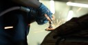 All of our body technicians at MAACO Of Tampa, Tampa, FL, 33614, are skilled and certified welders.
