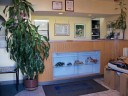 Our body shop’s business office located at Mamaroneck, NY, 10543 is staffed with friendly and experienced personnel.